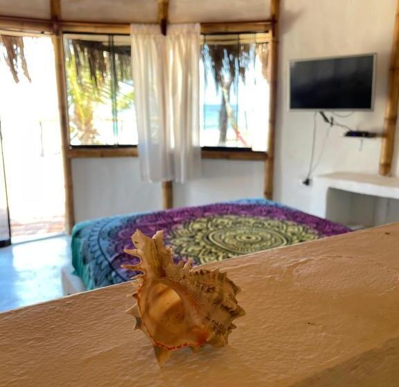 スタンダードルーム, Waltako Beach Culture