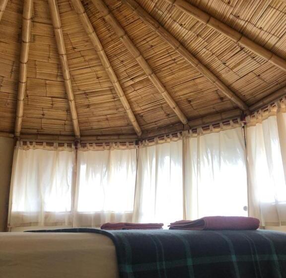 スタンダードルーム, Waltako Beach Culture