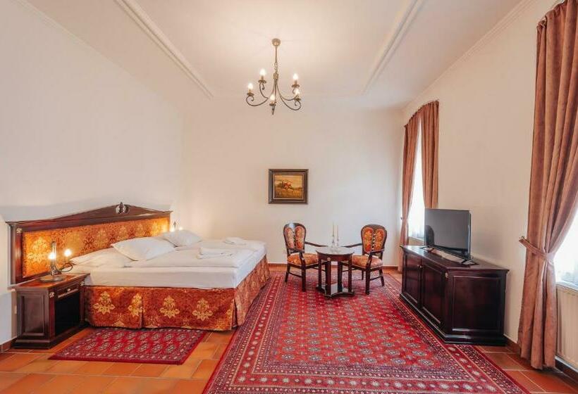 חדר סטנדרט, Zamek Hradek U Susice