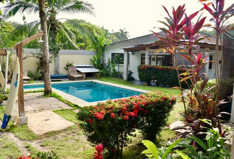 标准工作室, Maoritsio Garden Studios