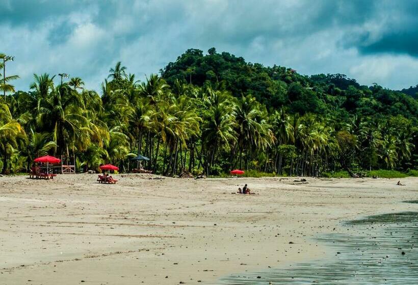 带1个卧室的别墅, Maoritsio Garden Studios