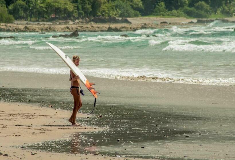 带1个卧室的别墅, Maoritsio Garden Studios