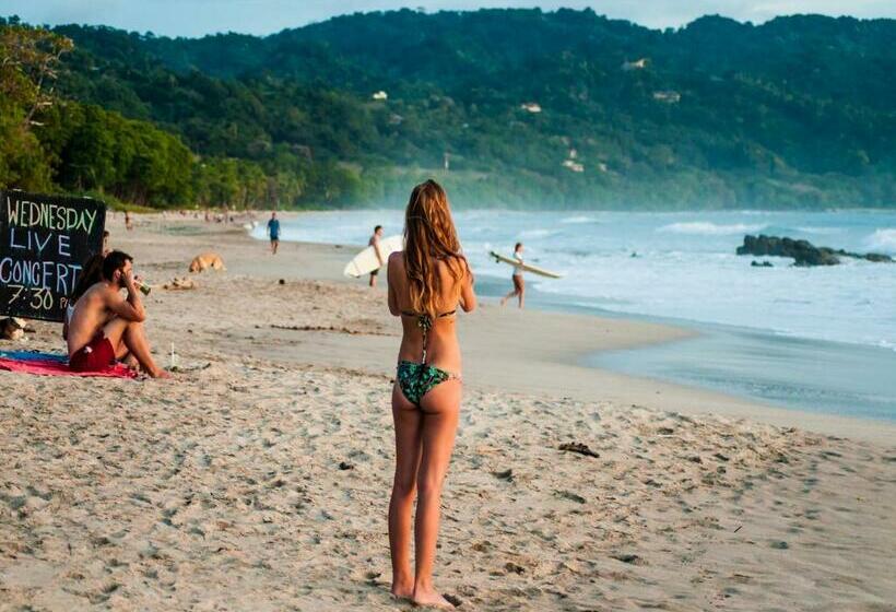 带1个卧室的别墅, Maoritsio Garden Studios