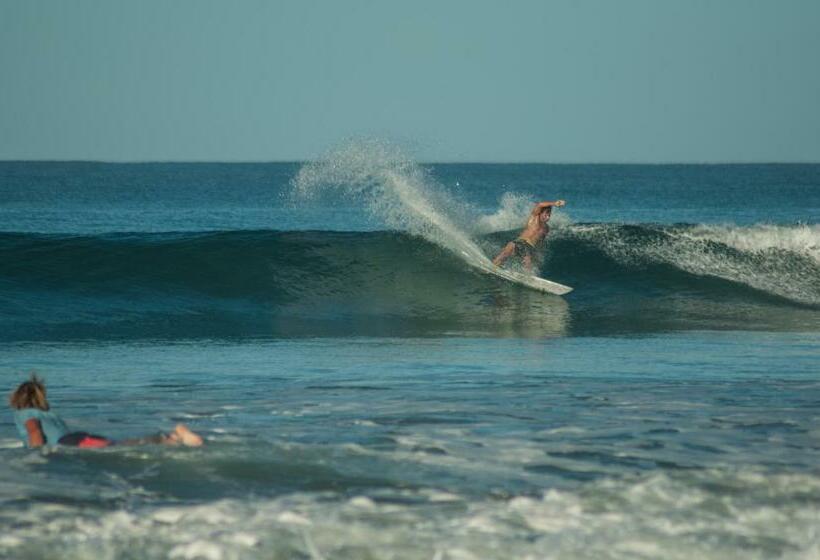 标准工作室, Maoritsio Garden Studios