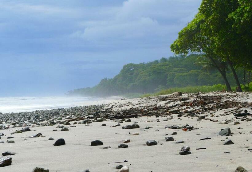 标准工作室, Maoritsio Garden Studios