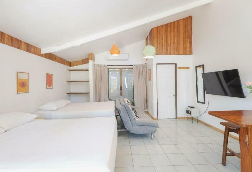 标准工作室, Maoritsio Garden Studios