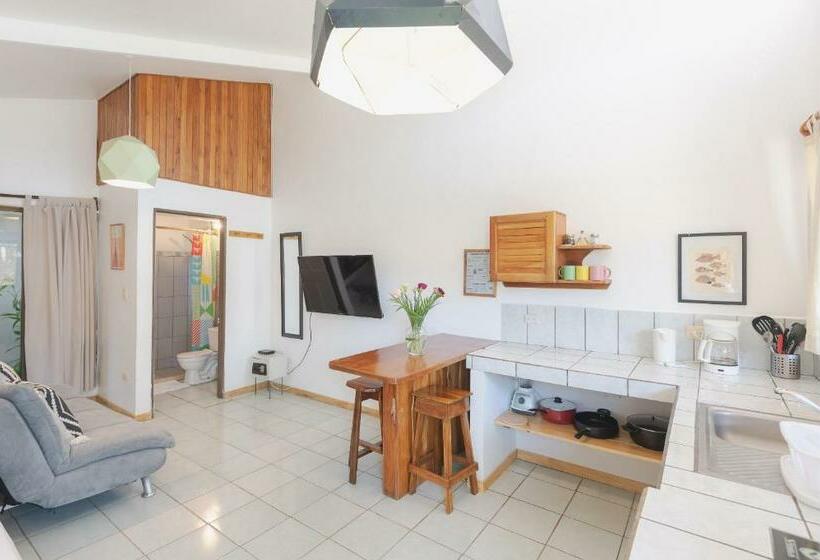 标准工作室, Maoritsio Garden Studios