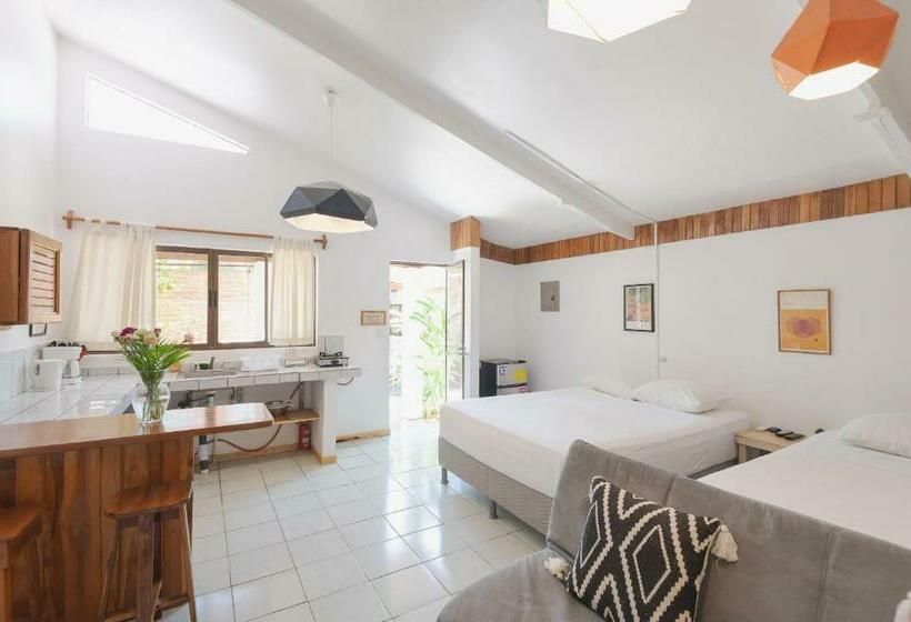 标准工作室, Maoritsio Garden Studios