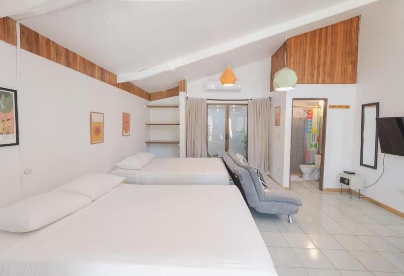 标准工作室, Maoritsio Garden Studios