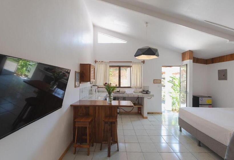 标准工作室, Maoritsio Garden Studios