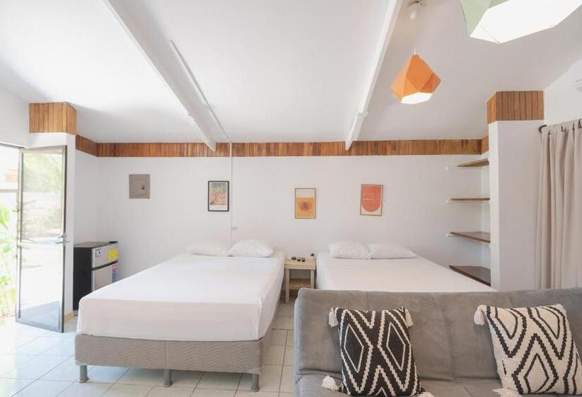 Студия Стандарт, Maoritsio Garden Studios