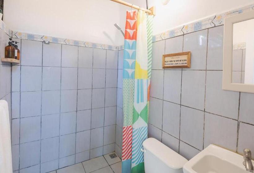 标准工作室, Maoritsio Garden Studios