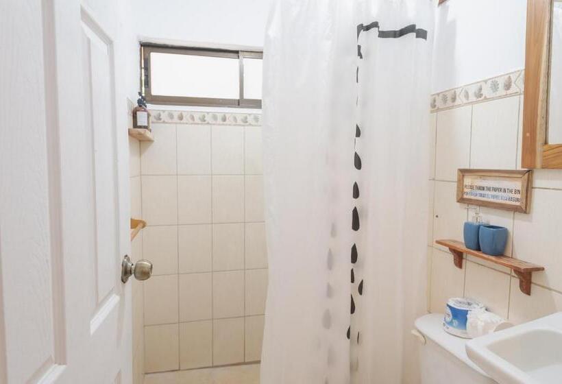 带1个卧室的别墅, Maoritsio Garden Studios