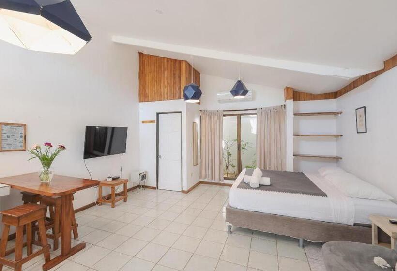 带1个卧室的带阳台的公寓, Maoritsio Garden Studios