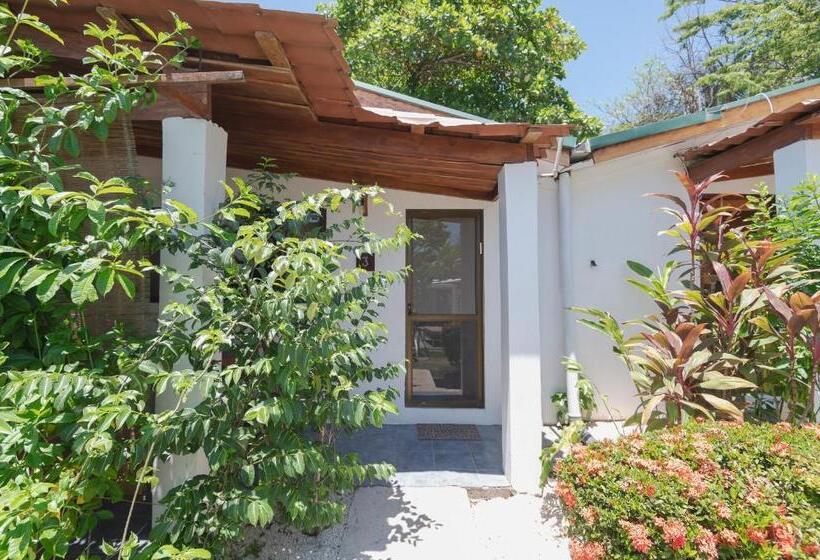 带1个卧室带花园景观的公寓, Maoritsio Garden Studios