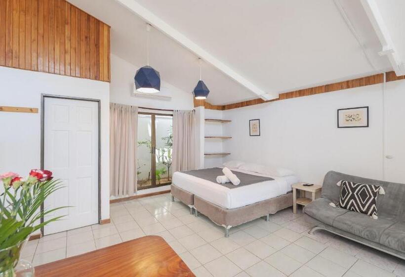 标准间, Maoritsio Garden Studios