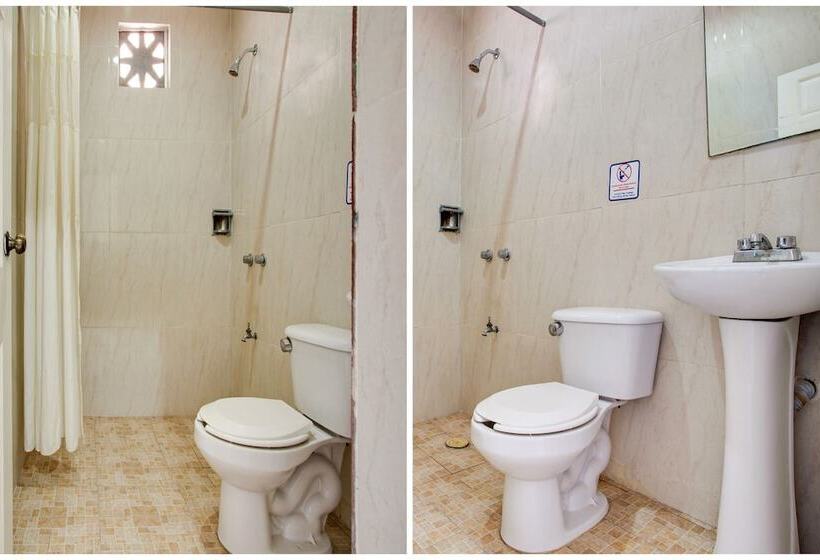 Quarto Estandar, Addy
