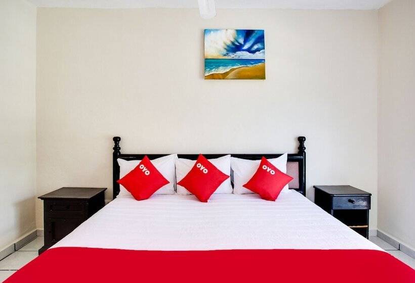 Quarto Superior, Addy