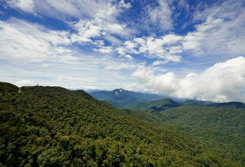 جناح غرفتين نوم, Grand Ion Delemen