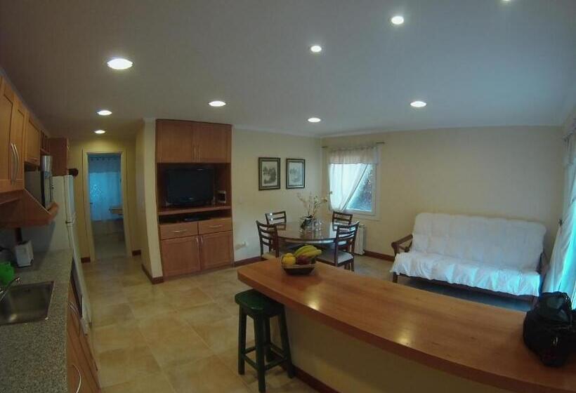 带1个卧室的豪华公寓, Alma Andina Hosteria