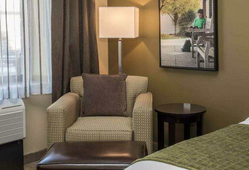 غرفة قياسية, Best Western Plus Franciscan Square Inn & Suites  Steubenville