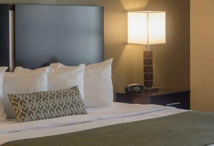 غرفة قياسية, Best Western Plus Franciscan Square Inn & Suites  Steubenville