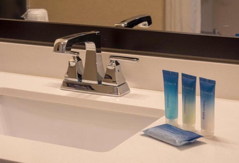 غرفة قياسية سرير مزدوج, Best Western Plus Franciscan Square Inn & Suites  Steubenville