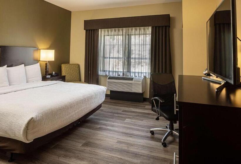 غرفة قياسية سرير كينج لذوى الإحتياجات الخاصة, Best Western Plus Franciscan Square Inn & Suites  Steubenville