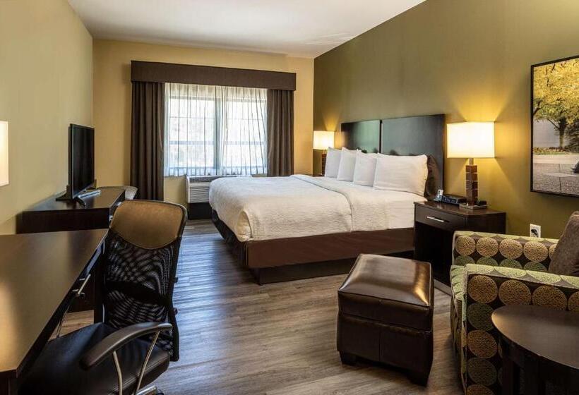 غرفة قياسية سرير كينج لذوى الإحتياجات الخاصة, Best Western Plus Franciscan Square Inn & Suites  Steubenville