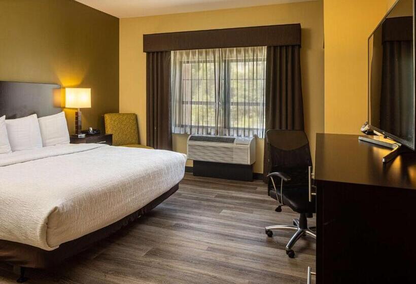 장애인을 위한 킹사이즈 침대 스탠다드 룸, Best Western Plus Franciscan Square Inn & Suites  Steubenville