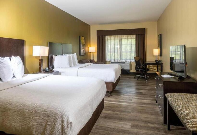 غرفة قياسية لذوى الاحتياجات الخاصة, Best Western Plus Franciscan Square Inn & Suites  Steubenville