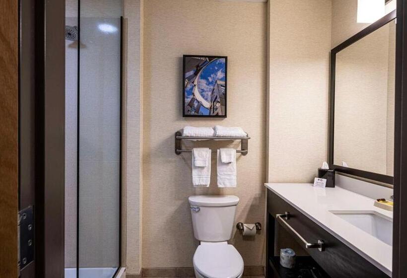 스탠다드 룸 킹사이즈 침대, Best Western Plus Franciscan Square Inn & Suites  Steubenville