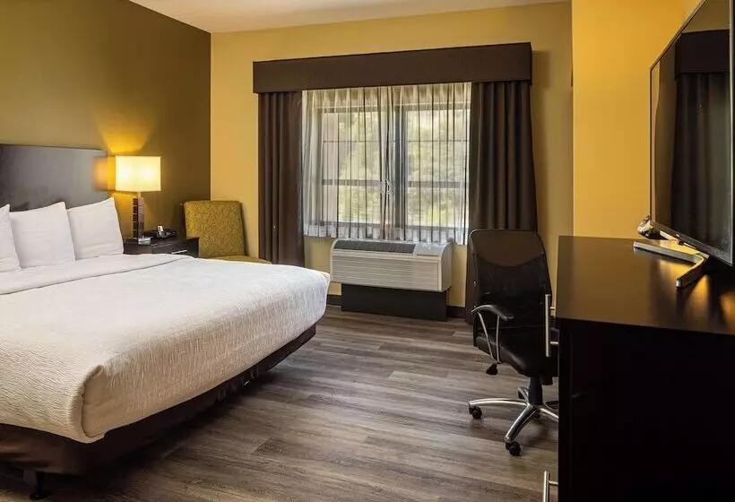 ダブルベッドスタンダードルーム, Best Western Plus Franciscan Square Inn & Suites  Steubenville