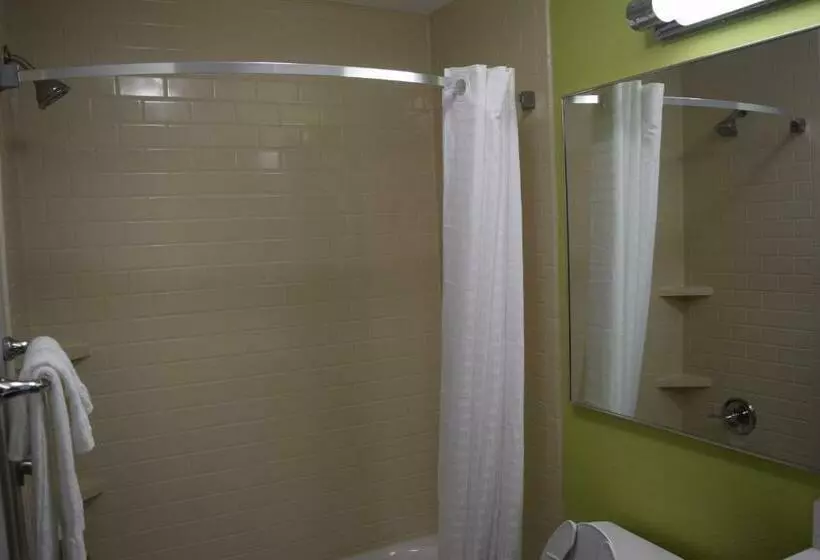 キングサイドベッドのスタンダードワンルーム, Candlewood Suites   Nashville Metro Center, An Ihg