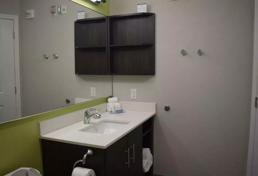 キングサイドベッドのスタンダードワンルーム, Candlewood Suites   Nashville Metro Center, An Ihg