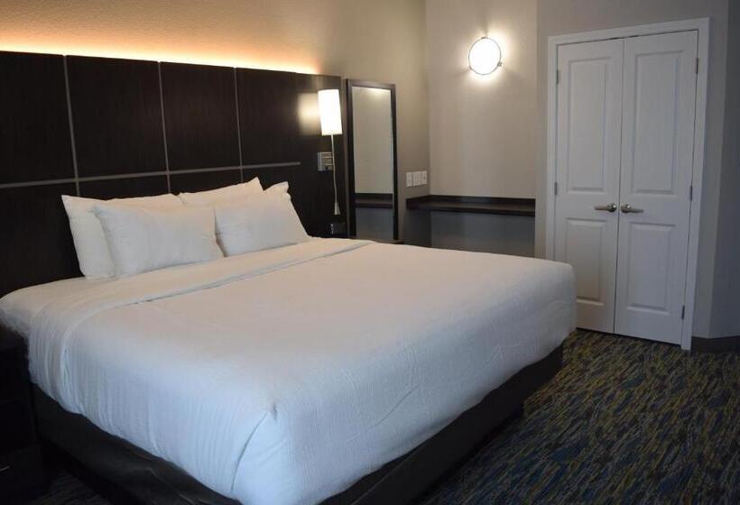 غرفة قياسية سرير كينج لذوى الإحتياجات الخاصة, Candlewood Suites Nashville Metro Center, An Ihg