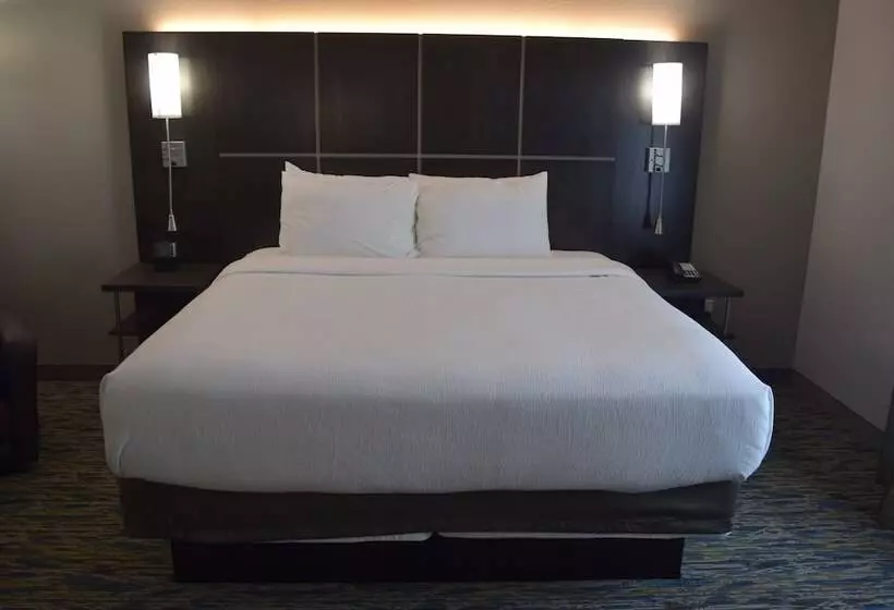 スタンダードルーム, Candlewood Suites   Nashville Metro Center, An Ihg