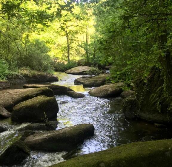 اتاق استاندارد, Contact Hôtel Du Champ De Mars De Saint Brieuc