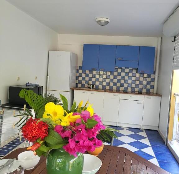 آپارتمان 1 خوابه با تراس, Courbaril Village