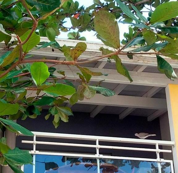 آپارتمان 1 خوابه, Courbaril Village