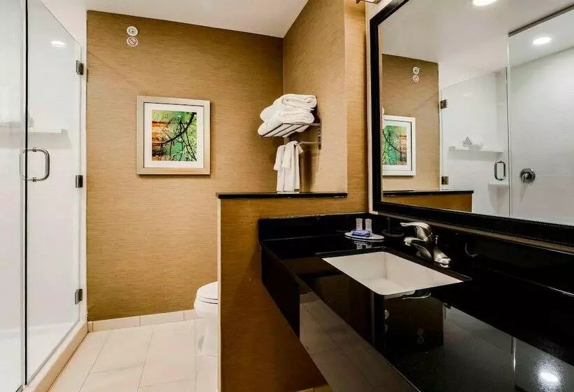 スイート, Fairfield Inn & Suites By Marriott Pecos