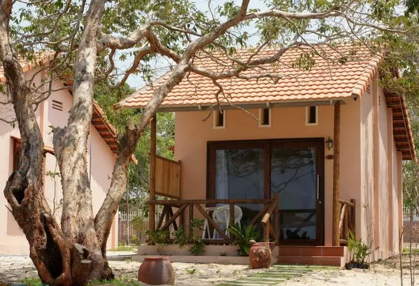 بانگلوی استاندارد, Gold Sand Beach Bungalow