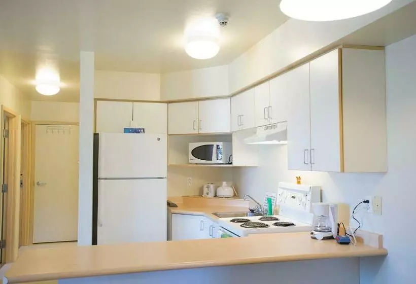 ４ベッドルームアパートメント, Backpacker College At Memorial University   Grenfell Campus
