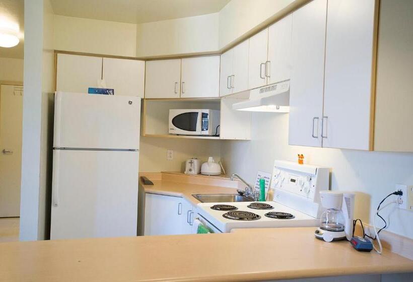 ４ベッドルームアパートメント, Backpacker College At Memorial University   Grenfell Campus