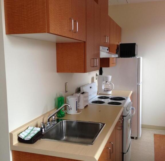 スーペリアスタジオ, Backpacker College At Memorial University   Grenfell Campus