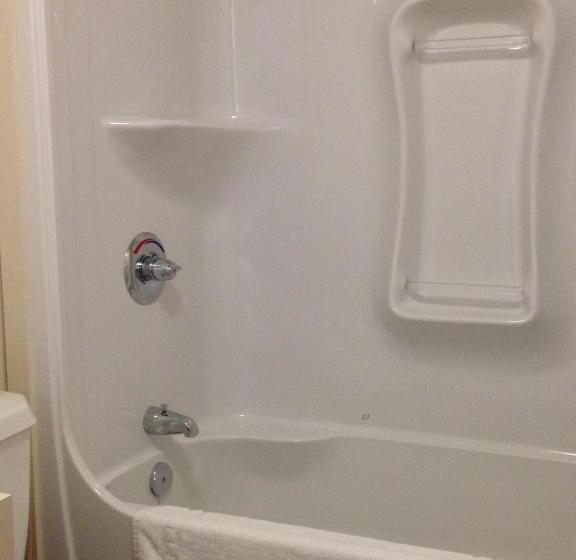 スーペリアスタジオ, Backpacker College At Memorial University   Grenfell Campus