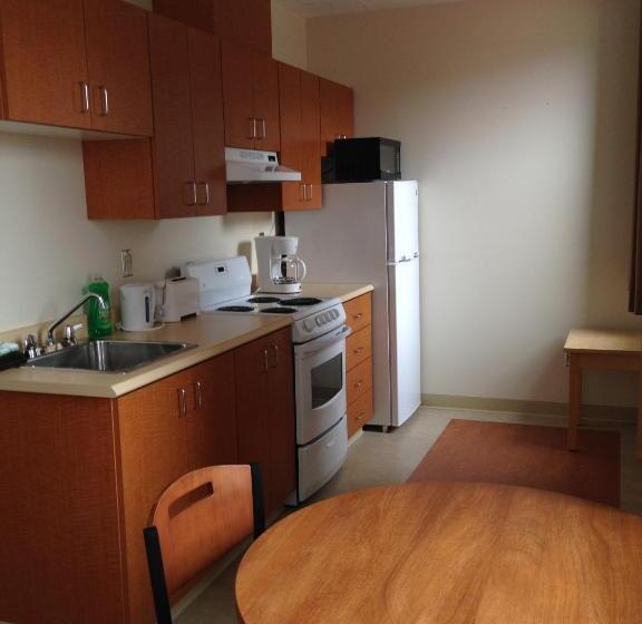 スーペリアスタジオ, Backpacker College At Memorial University   Grenfell Campus