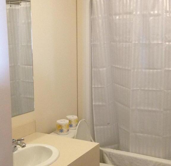 スーペリアスタジオ, Backpacker College At Memorial University   Grenfell Campus