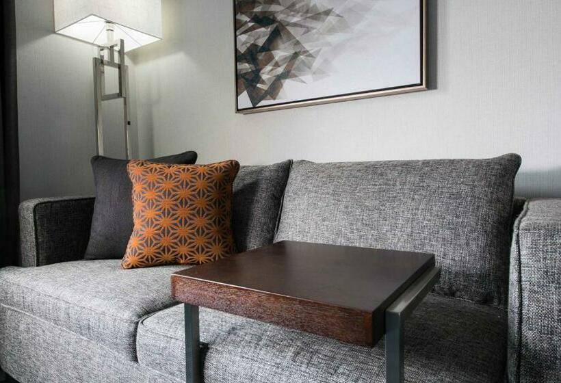 غرفة قياسية سرير كينج, Hilton Garden Inn Foxborough Patriot Place