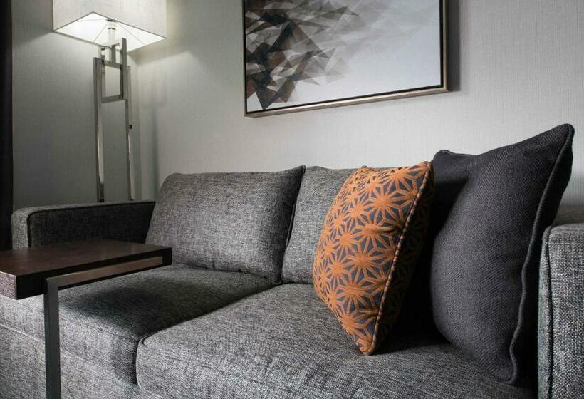 Стандартный Номер Кровать Кинг, Hilton Garden Inn Foxborough Patriot Place